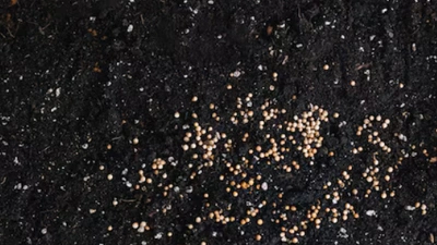 Embalagem de fertilizantes